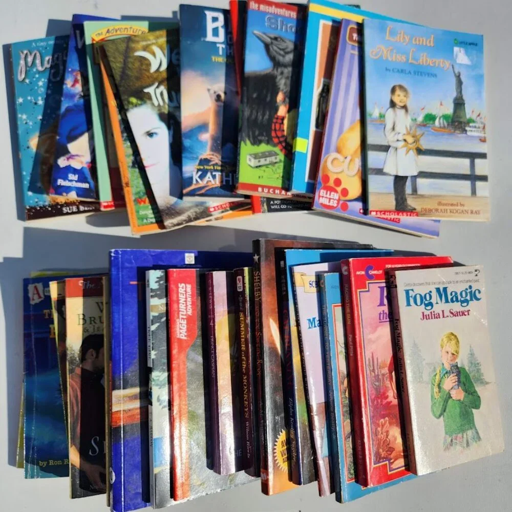 4 Book Bundle Lot Set Chapter Books Young Adult Literature Novels Mystery Books